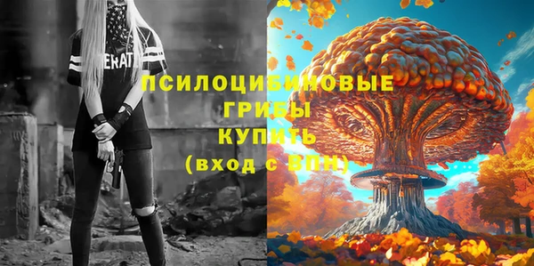 PSILOCYBIN Алексеевка
