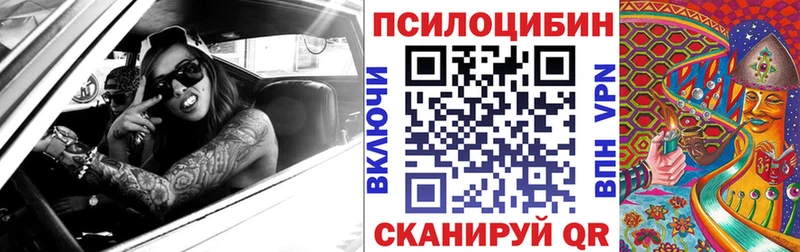 OMG онион Щигры Галлюциногенные грибы Cubensis