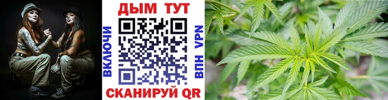 Марихуана марихуана  Щигры 